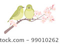 Illustration of cherry blossoms and Japanese white-eye 99010262