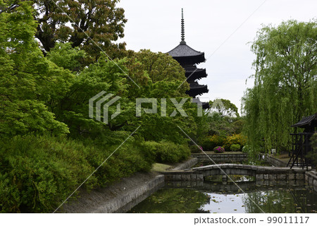 To-ji Temple Willow and five-storied pagoda related to Michikaze Ono To-ji Temple Willow and five-storied pagoda related to Michikaze Ono 99011117