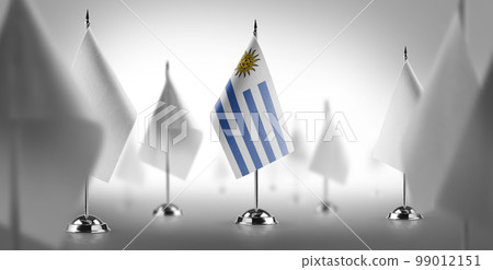 The national flag of the Uruguay surrounded by white flags The national flag of the Uruguay surrounded by white flags 99012151