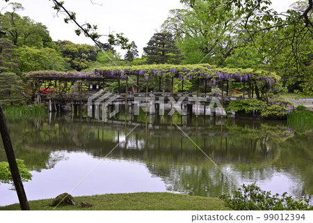 京都Sendong宮南池塘Yatsuhashi和紫藤 99012394