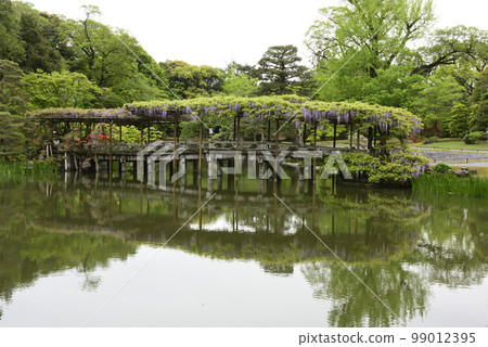 Kyoto Sendong Palace South pond Yatsuhashi and wisteria 99012395