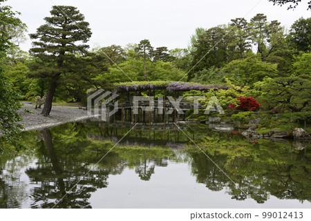 京都Sendong宮南池塘Yatsuhashi和紫藤 99012413