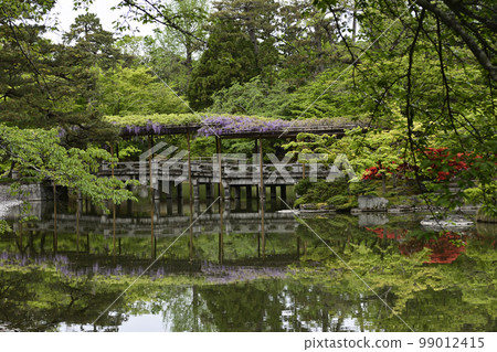 京都Sendong宮南池塘Yatsuhashi和紫藤 99012415
