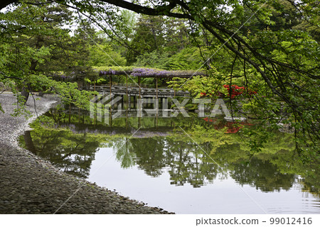 京都Sendong宮南池塘Yatsuhashi和紫藤 99012416