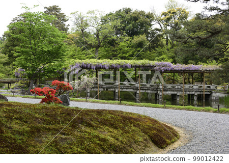 Kyoto Sendong Palace South pond Yatsuhashi and wisteria 99012422