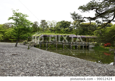 京都Sendong宮南池塘Yatsuhashi和紫藤 99012424