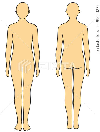 Body model front and back color Body model front and back color 99013275