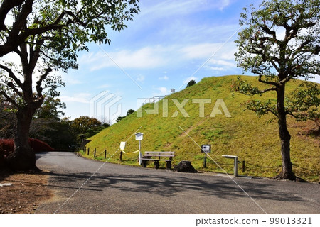 足利市織姬公園步道和富士山 足利市織姬公園步道和富士山 99013321