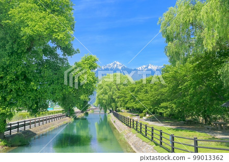 新鮮的綠葉 99013362