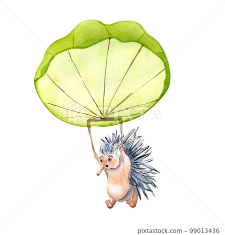 Cartoon echidna with parachute watercolor illustration isolated on white. Cartoon echidna with parachute watercolor illustration isolated on white. 99013436