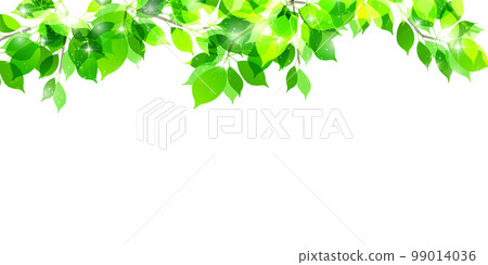New green leaves landscape background 99014036
