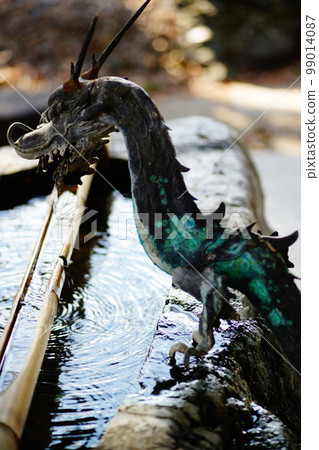 特米祖亞龍 99014087