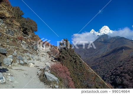 Narrow path at Khumbu valley 99014664