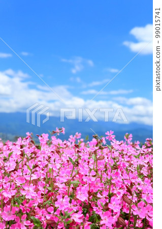 Fukuro Nadeshiko的花園 Fukuro Nadeshiko的花園 99015741