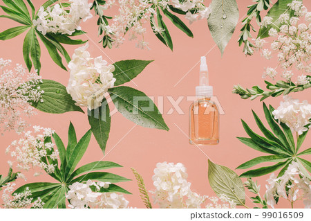 Cosmetic amber glass dropper bottle in fresh nature setup. Green leaves white flowers on peach pink. Essential aroma oil or face care serum essence. natural beauty and cosmetics. Pink forest 99016509