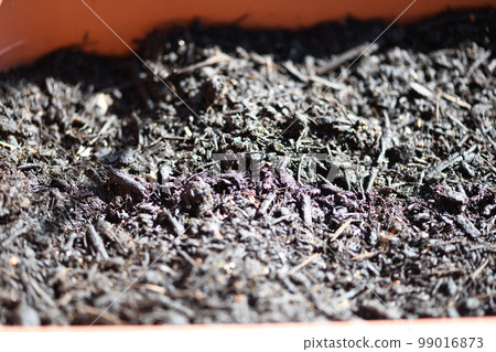mulch and planter 99016873