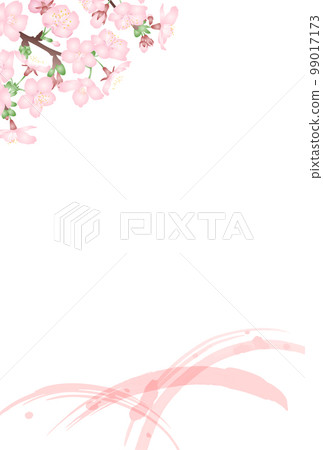 Japanese-style vector illustration of three-dimensional cherry blossoms and pink brushstrokes on a white background, postcard size Japanese-style vector illustration of three-dimensional cherry blossoms and pink brushstrokes on a white background, postcard size 99017173