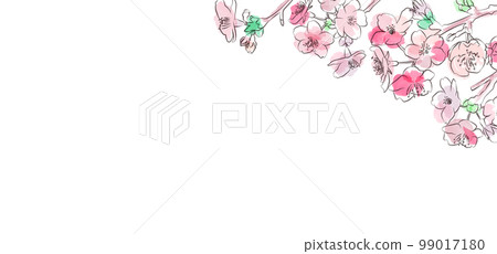 Watercolor style girly cherry blossom message card vector illustration white background 99017180
