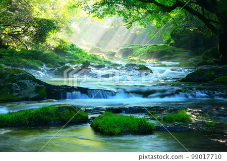 Beautiful rays of light shine through Kikuchi Valley in summer (Kikuchi City) Beautiful rays of light shine through Kikuchi Valley in summer (Kikuchi City) 99017710