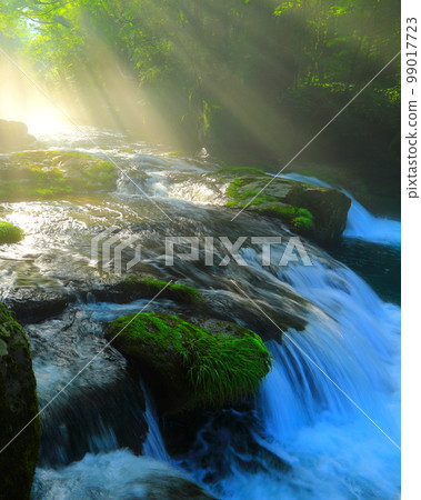 Summer Kikuchi Valley with rays of light (vertical composition) 99017723