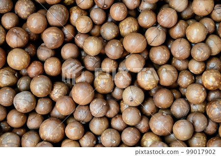 macadamia nuts texture background, fresh natural shelled raw macadamia nuts in a full frame, close up pile of roasted macadamia nut 99017902