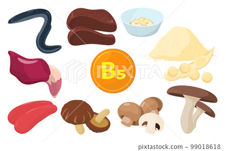 Vector illustration of foods containing vitamin B5. 99018618