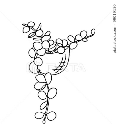 Doodle of houseplant Peperomia Hope in pot. 99019150