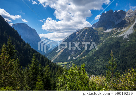Mountains and forest landscape in French alps 99019239