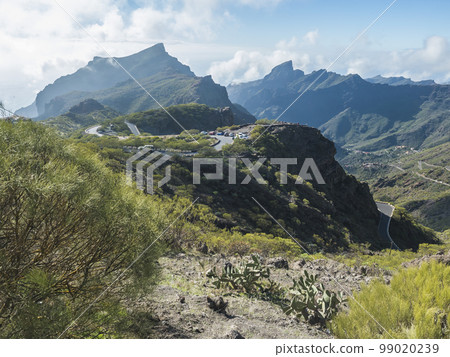 Picturesque landscape with winding curvy mountain road towards Masca village. Green valley, ocean, massive cliffs and sharp rock formation. Tenerife, Canary Islands, Spain. sunny winter day, blue sky 99020239