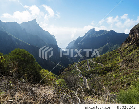 Picturesque landscape with winding curvy mountain road towards Masca village. Green valley, ocean, massive cliffs and sharp rock formation. Tenerife, Canary Islands, Spain. sunny winter day, blue sky Picturesque landscape with winding curvy mountain road towards Masca village. Green valley, ocean, massive cliffs and sharp rock formation. Tenerife, Canary Islands, Spain. sunny winter day, blue sky 99020242