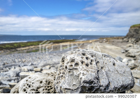 Stones with holes at storm beach by Carrowhubbuck North Carrownedin close to Inishcrone, Enniscrone in County Sligo, Ireland. Stones with holes at storm beach by Carrowhubbuck North Carrownedin close to Inishcrone, Enniscrone in County Sligo, Ireland. 99020307