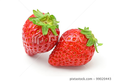 草莓（一護先生） 99020443