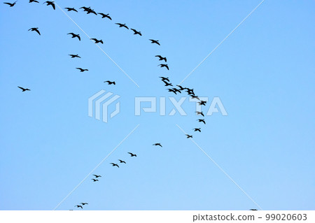 馬根編隊飛行 馬根編隊飛行 99020603