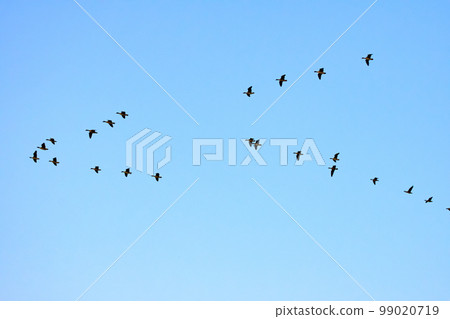 Formation flight of Magan Formation flight of Magan 99020719