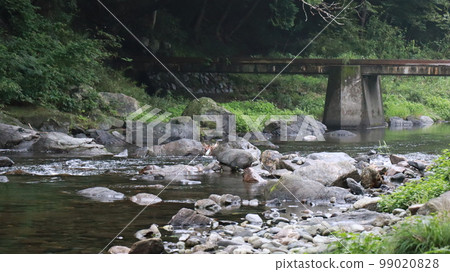 Valley 006 99020828
