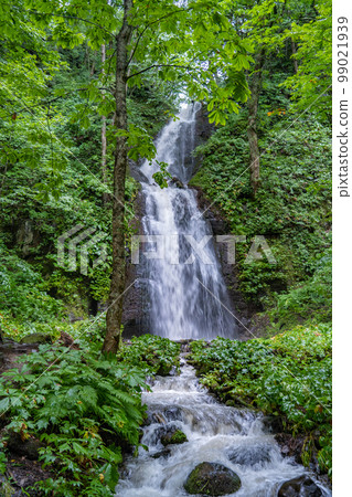 奧入瀨川 奧入瀨川 雲井瀑布（青森縣） 99021939