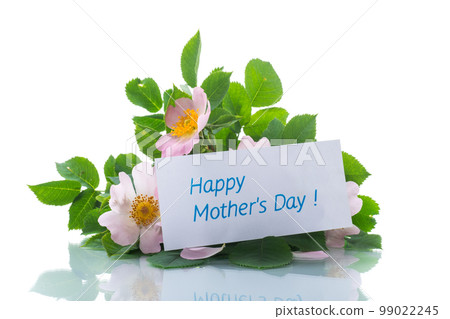 small bouquet of wild rosehip flowers on white background. 99022245