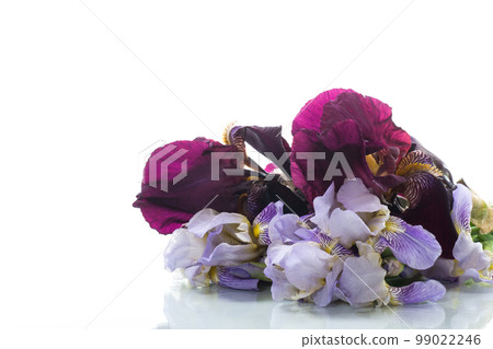 bouquet of beautiful blooming iris flowers on white background 99022246