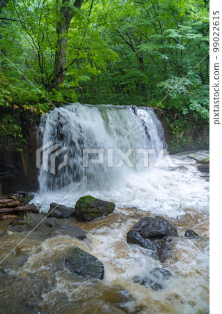 Oirase Stream Oirase River Choshi Otaki Falls (Aomori Prefecture) 99022615