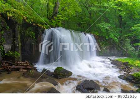 Oirase Stream Oirase River Choshi Otaki Falls (Aomori Prefecture) 99022616