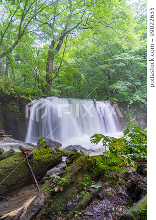 Oirase Stream Oirase River Choshi Otaki Falls (Aomori Prefecture) Oirase Stream Oirase River Choshi Otaki Falls (Aomori Prefecture) 99022635