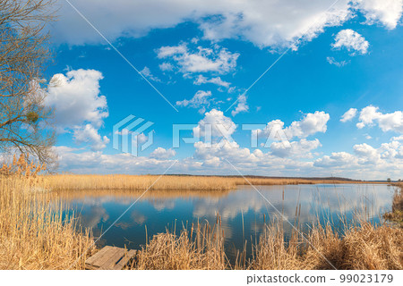 The wooden bridge, Yellow brushwood, and reeds near the blue water of the lake under a blue sky with clouds, Huyva river in Andrushivka, Ukraine The wooden bridge, Yellow brushwood, and reeds near the blue water of the lake under a blue sky with clouds, Huyva river in Andrushivka, Ukraine 99023179