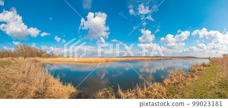 Yellow brushwood and reeds near the blue water of the lake under the blue sky with clouds, the Guiva river in Andrushivka, Ukraine Yellow brushwood and reeds near the blue water of the lake under the blue sky with clouds, the Guiva river in Andrushivka, Ukraine 99023181