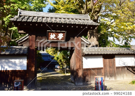 Ashikaga City Ashikaga School Gate and Golden Ginkgo 99024188