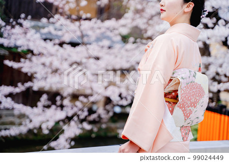Kimono woman and cherry blossoms Kyoto 99024449