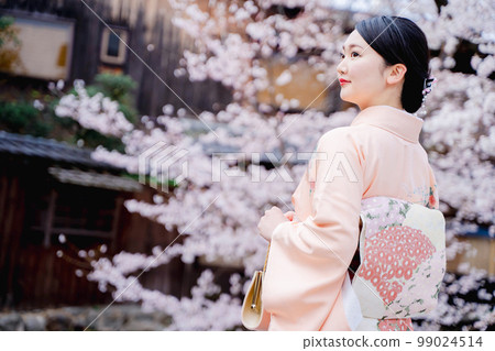 和服女人和櫻花京都 99024514