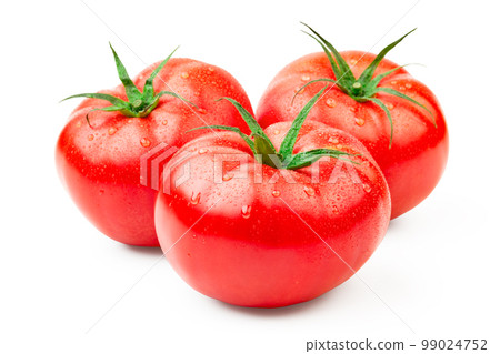 Tomato in white back 99024752