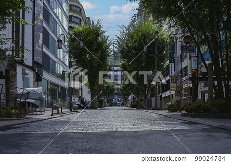 Illustration scenery of sightseeing spots in Shinjuku Ward, Tokyo, seen from the road Illustration scenery of sightseeing spots in Shinjuku Ward, Tokyo, seen from the road 99024784
