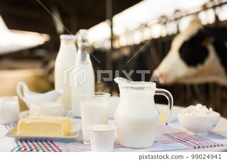 jug of milk, bottle of kefir, cottage cheese, cream and yogurt in bowl, cheese, butter on table in cowshed jug of milk, bottle of kefir, cottage cheese, cream and yogurt in bowl, cheese, butter on table in cowshed 99024941