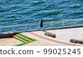 summer beach runner 99025245